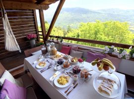 organic breakfast