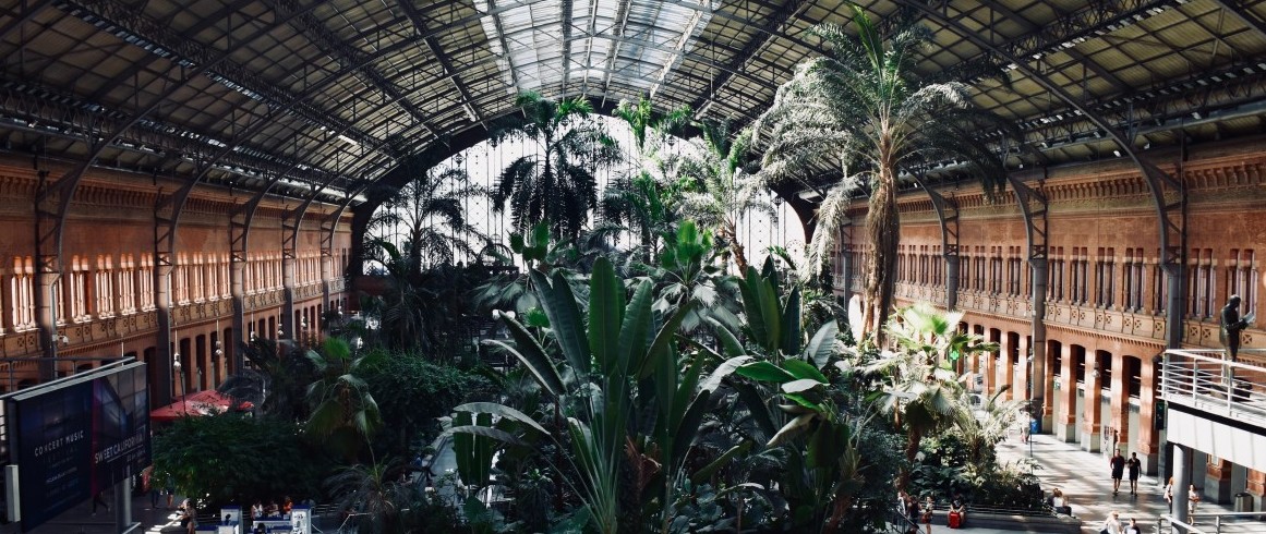 Retiro in Madrid - A Neighbourhood of Vibrant Greenery – Go Guides