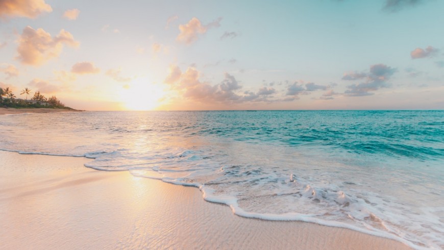 eco trend: tourists are looking for more contact with nature