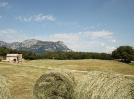 Agriturismo Malga Riondera