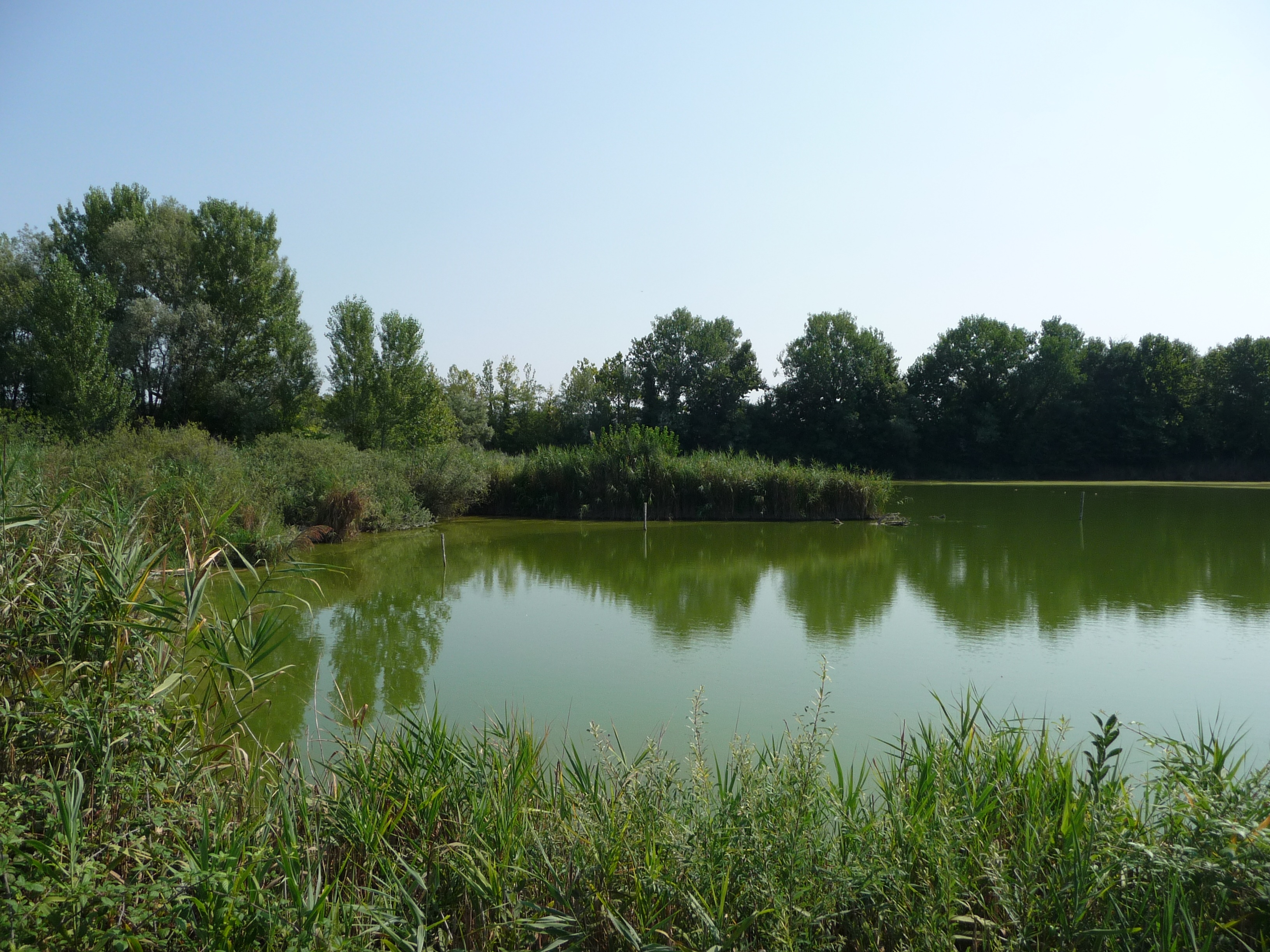 Natural oasis "Alberto Carta", Casale