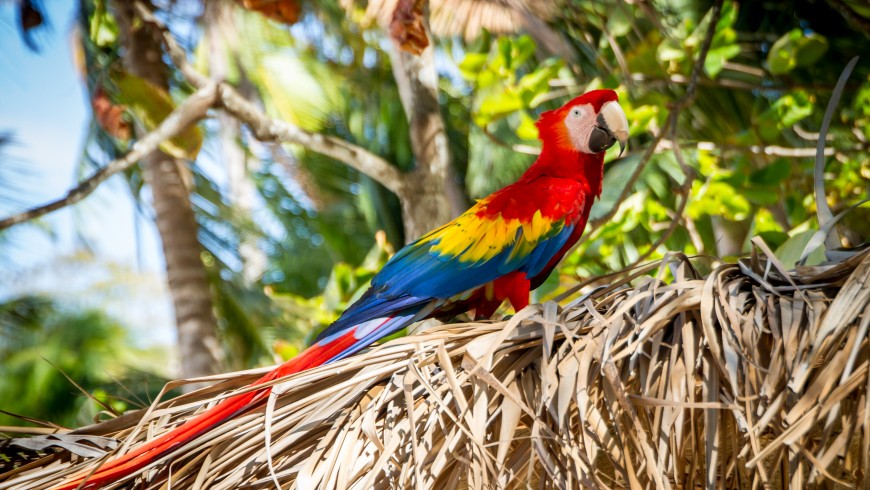 Costa Rica among the best destinations for eco-travelers for 2019