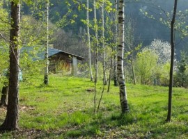 Payer house in the forest, Piedmont