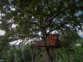 Tree house Fattoria La Prugnola, in Tuscany