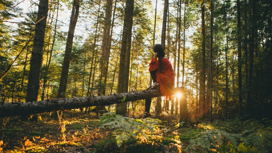 woman sitting on a tree into the forest. A 7-Steps Guide to Starting Your Own Eco-Friendly Travel Blog