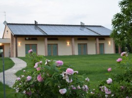 Casa Fiorindo's outdoor, roses and lawn
