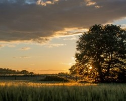 Sleep under the stars in a luxurious tent in Tuscany