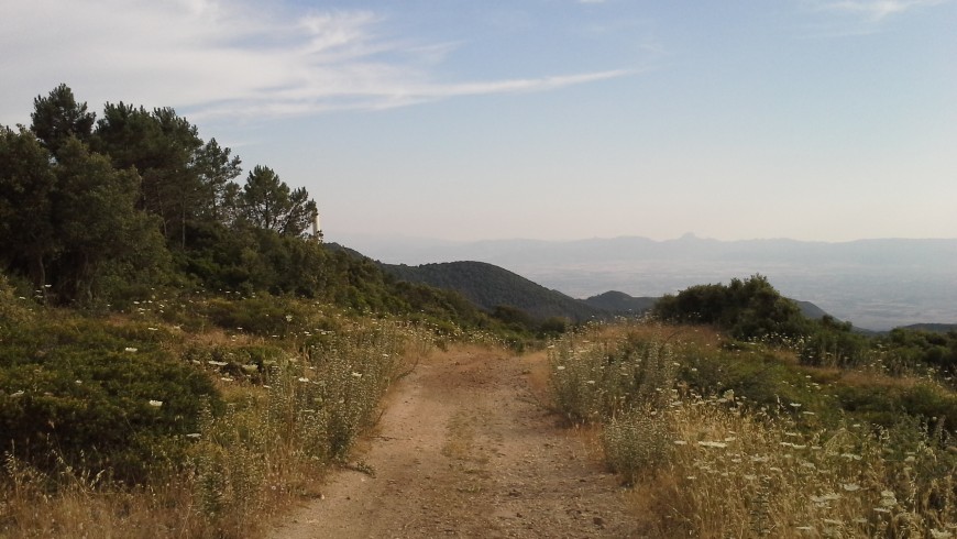 Monte Arci downhill, photo Wikimedia
