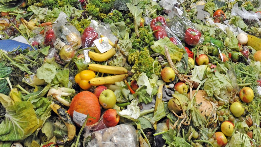Stop wasting food to slow down climate change