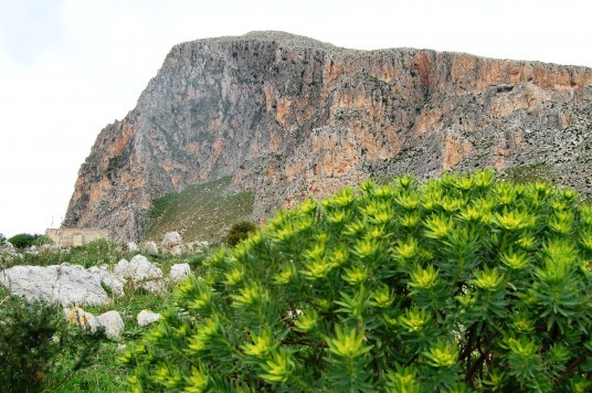Cofano Mountain, photo via Wikimedia