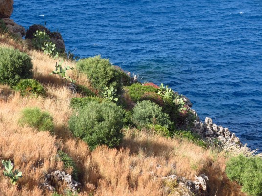 Zingaro Natural Reserve, photo via Wikimedia