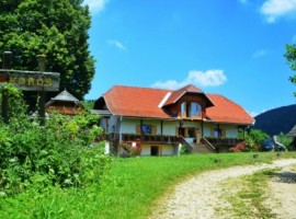 Ekohotel Farm Koroš