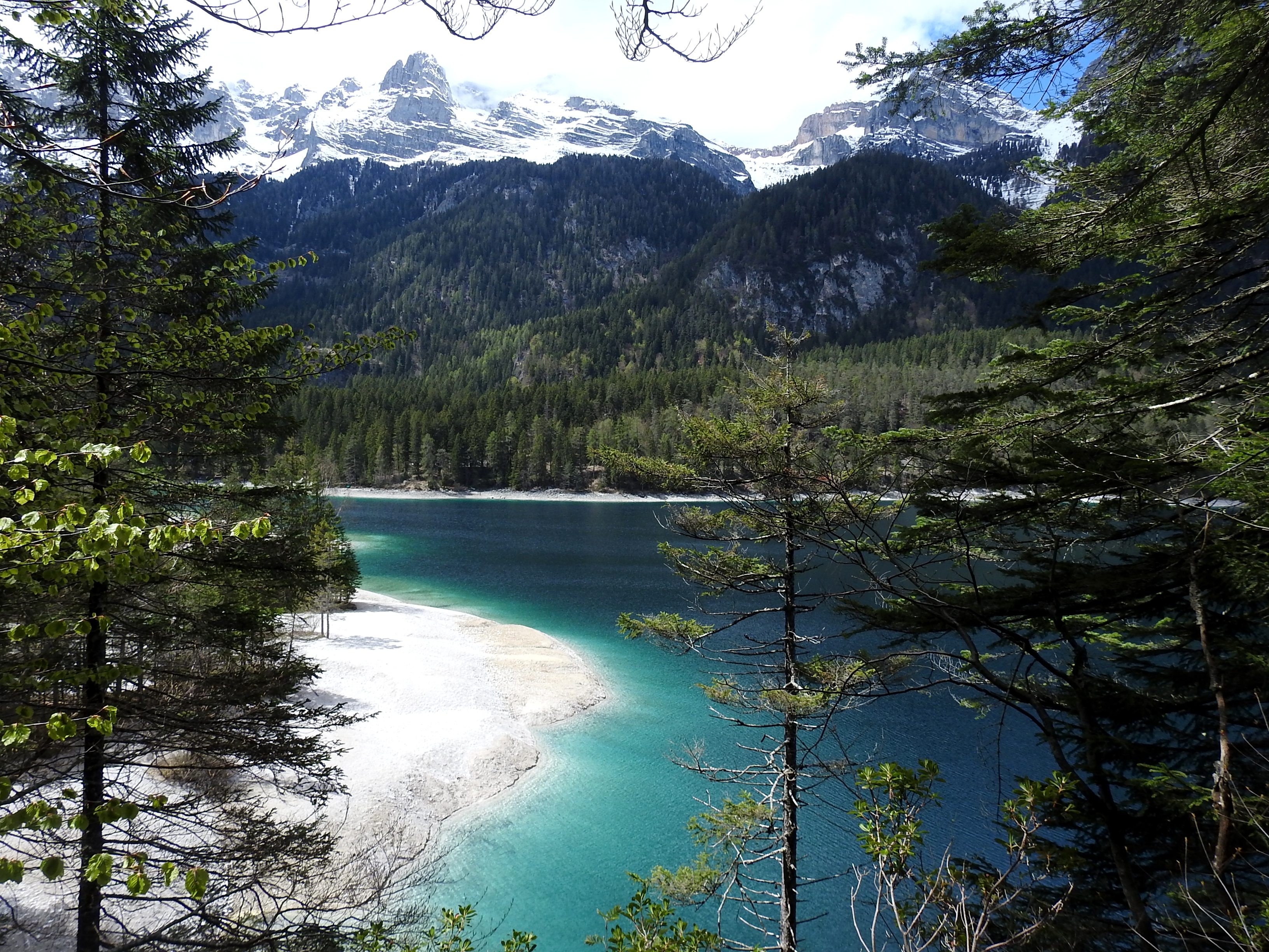 Lake Tovel surrounded by nature 