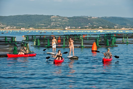 Spend a day on Fonda fish farm with the highest quality sea bass in the world
