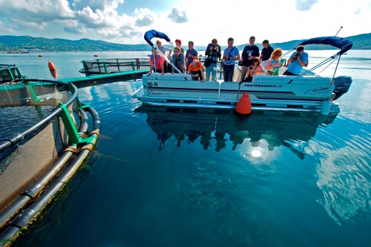 Spend a day on Fonda fish farm with the highest quality sea bass in the world