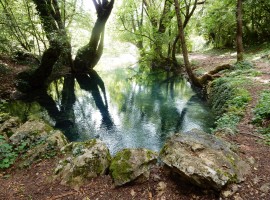 Grab natural water spring