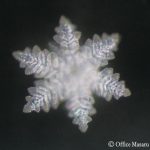 Masaru Emoto water crystals
