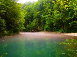 River Kupa natural water spring in National park Risnjak