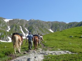 horse carrying load in the alps slow tourism