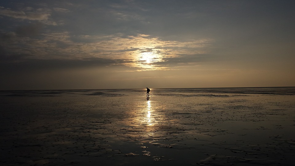 Wadden Sea landscape, photo by Pixabay