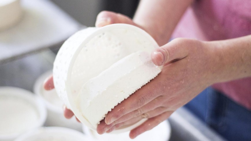 A woma's hand and a cheese, vegetarian cuisine in holiday