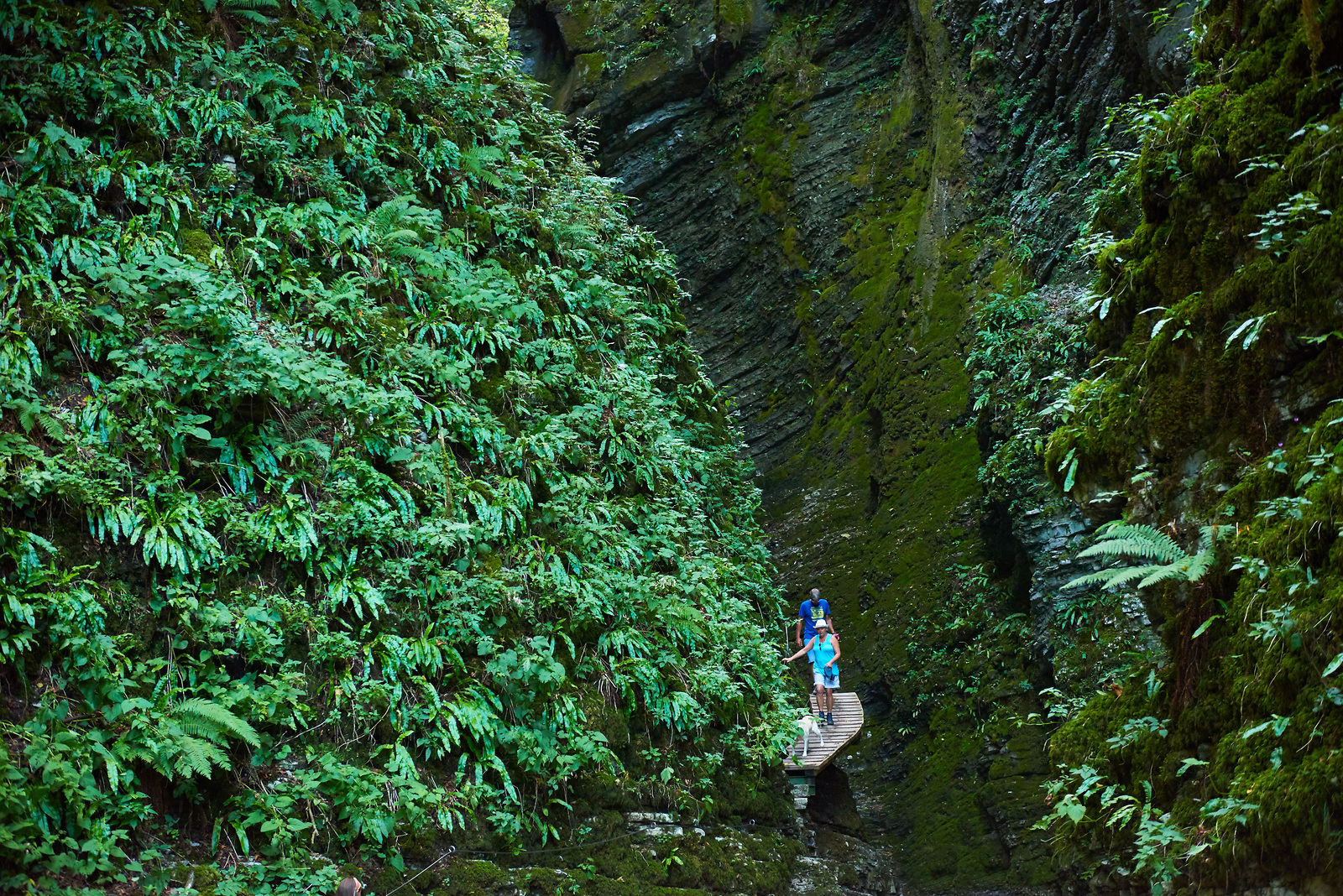 Waterfalls in Slovenia - waterfall Kozjak