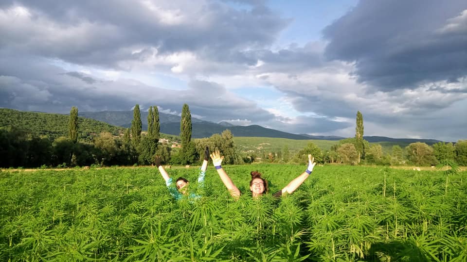 top outstanding experiences in Dalmatia - Hemp farm Moro