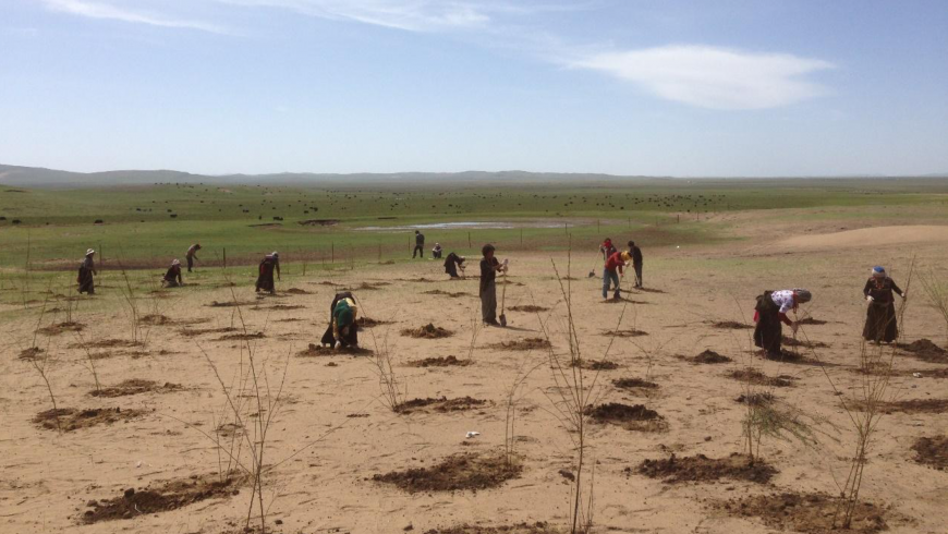 Team of people working to fight desertification