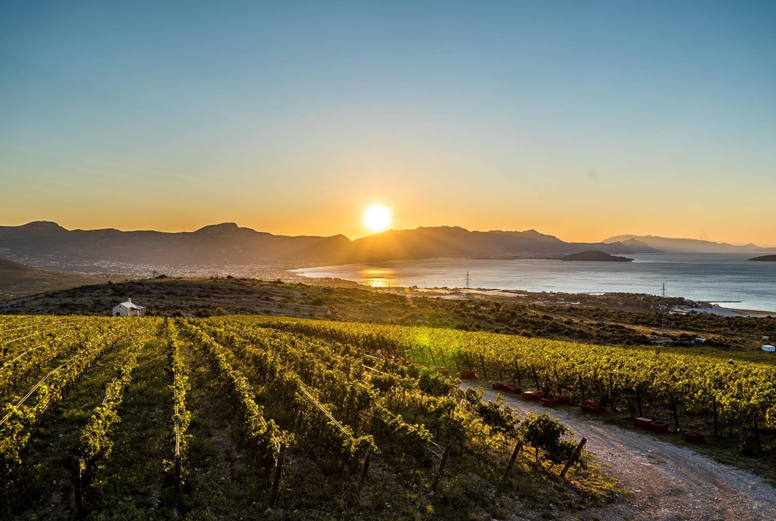Kairos organic wine tasting - top extraordinary experiences in Dalmatia