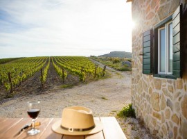 Kairos organic wine tasting - top extraordinary experiences in Dalmatia