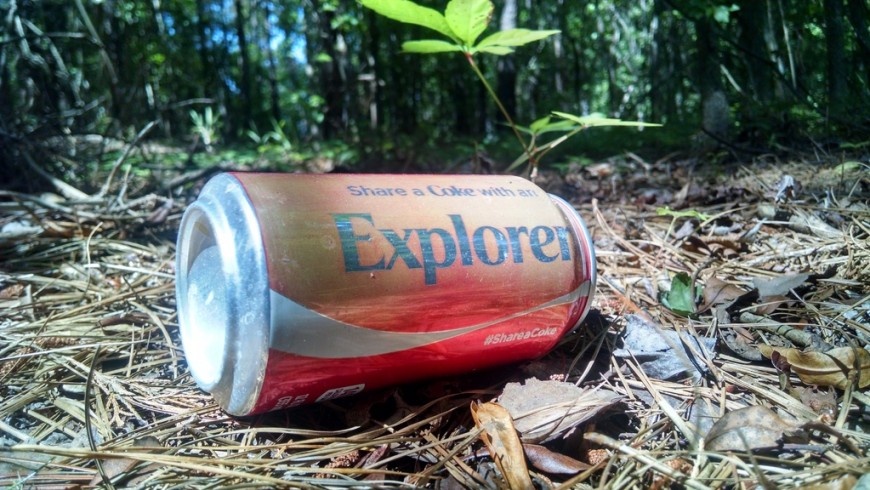 litter in the woods