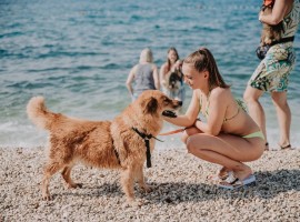 Animal protective foundation Split – Top extraordinary experiences in Dalmatia