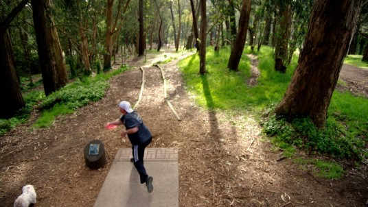 a disc golf field built in a forest, it does not provoke any damage to the environment