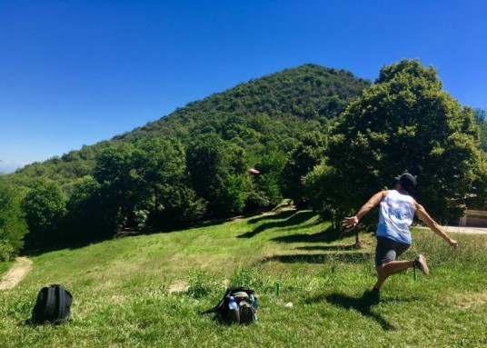 Disc golf basket inside an olive grove
