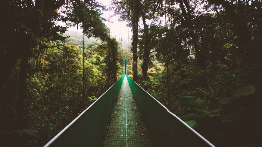 Hanging bridge in the Costa Rican jungle