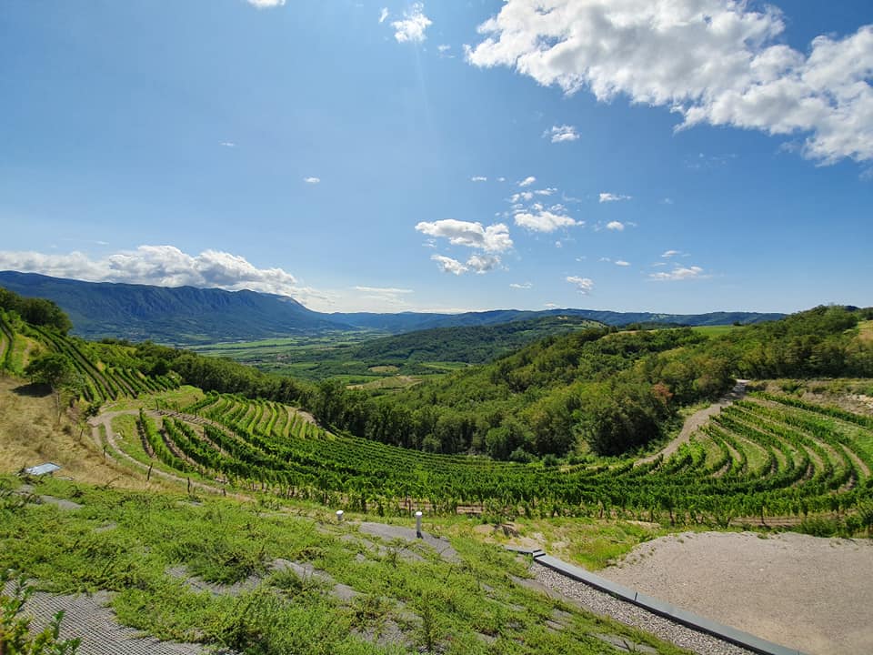 Guerila biodynamic winery - biodynamic wine holidays in Slovenia 