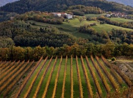 Guerila biodynamic winery - biodynamic wine holidays in Slovenia