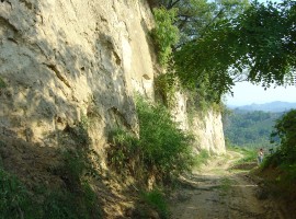 Apiculture Path