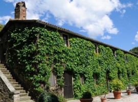 organic farmhouse in trasimeno