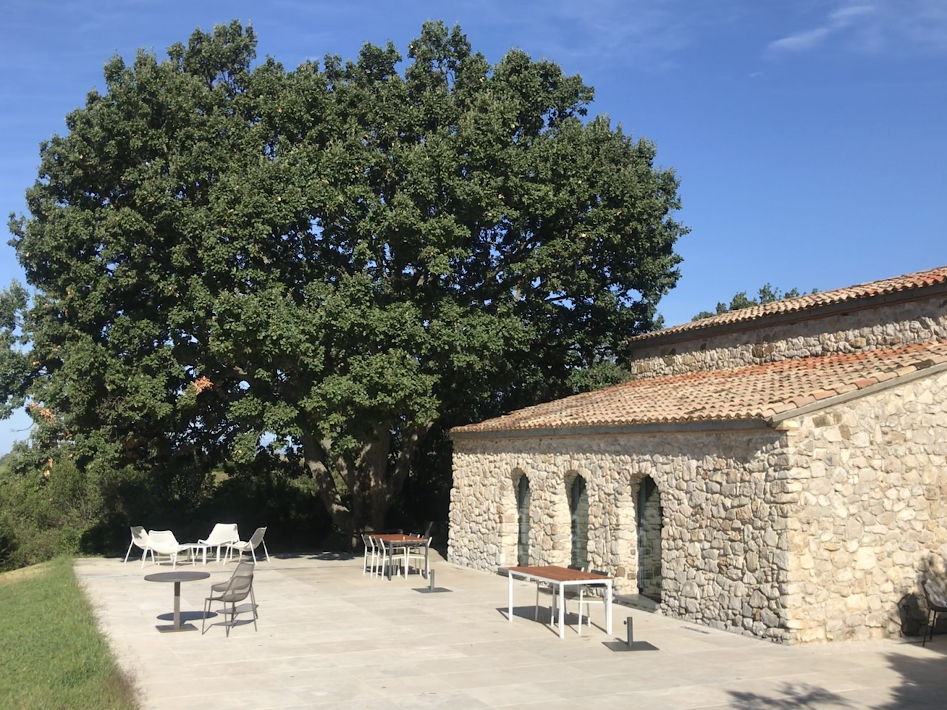 The main building with the oak, that became the symbol of the resort