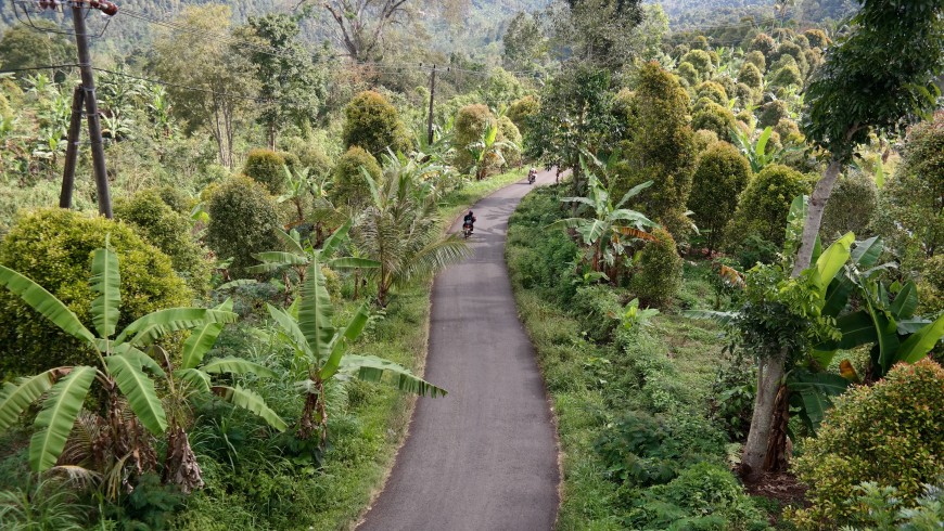 Biking in the hearth of Bali.