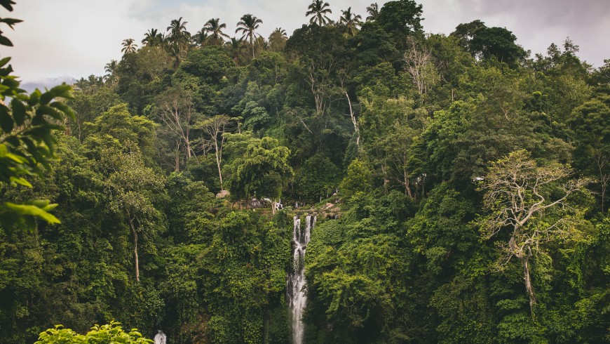 Sekumpul Waterfall, Bali, Indonesia.