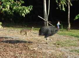 Birdwatching che passione! 10 luoghi eco-friendly per ammirare gli uccelli