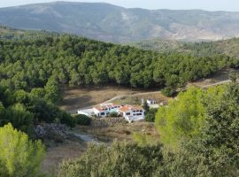 A Spanish farm perfect for birdwatching