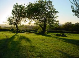 Nature around Clearvewe