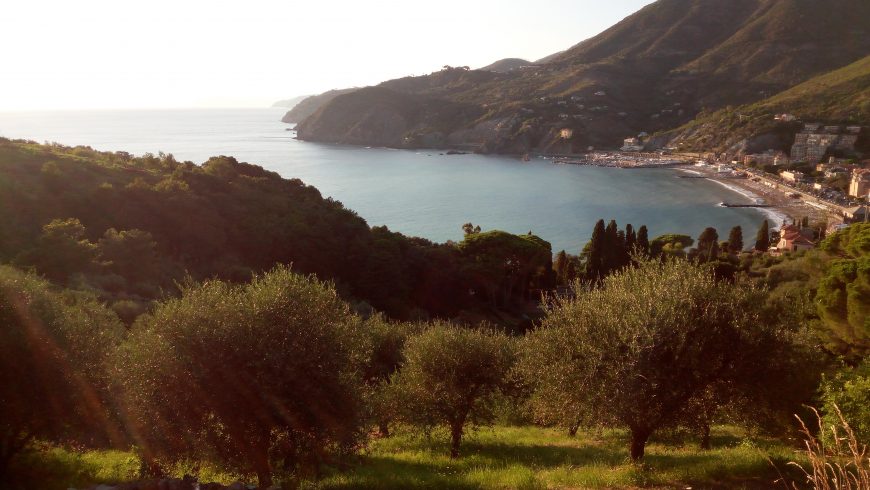 Levanto, panoramic view