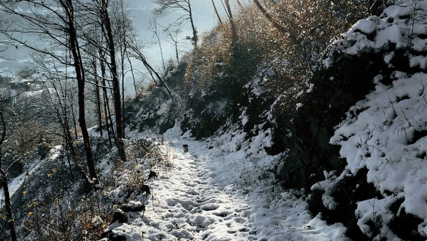 the milk and stone path in Valle Imagna