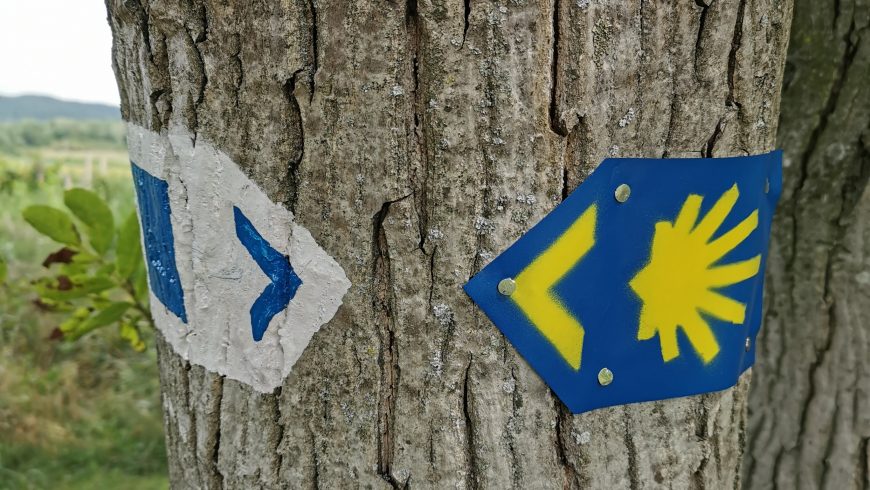 the yellow arrow and the stylized shell, marks of the path