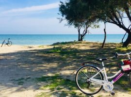Where to sleep in Torre del Cerrano Area
