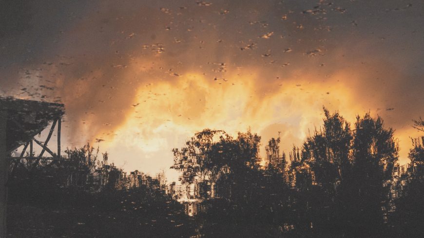 deforestation of the amazon forest